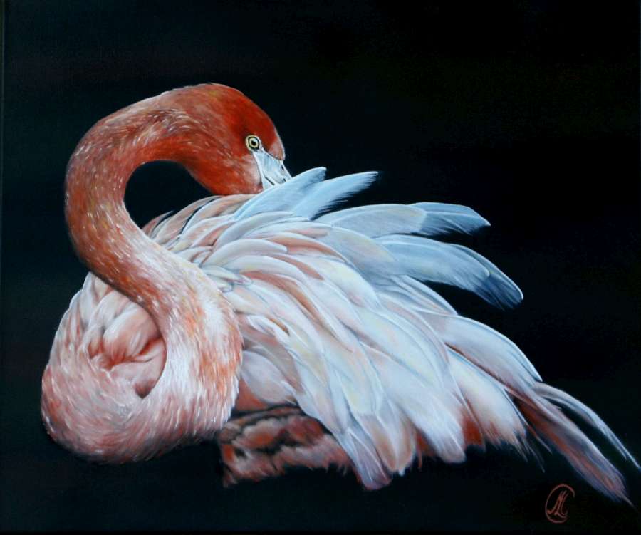 Huile sur toile 55x45 cm