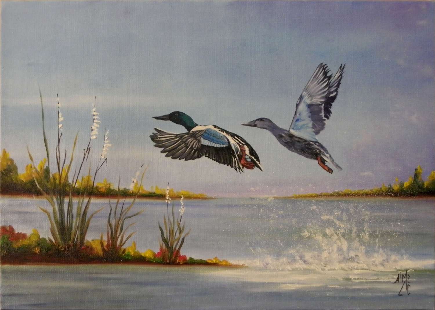 envolee sur le lindre 46x33