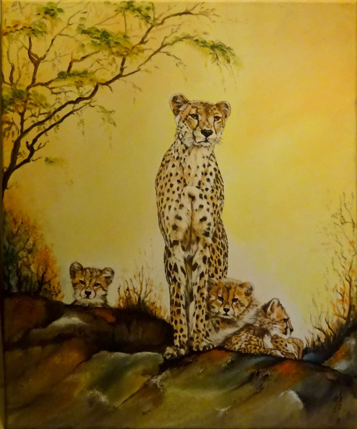 guepard50x60 1500