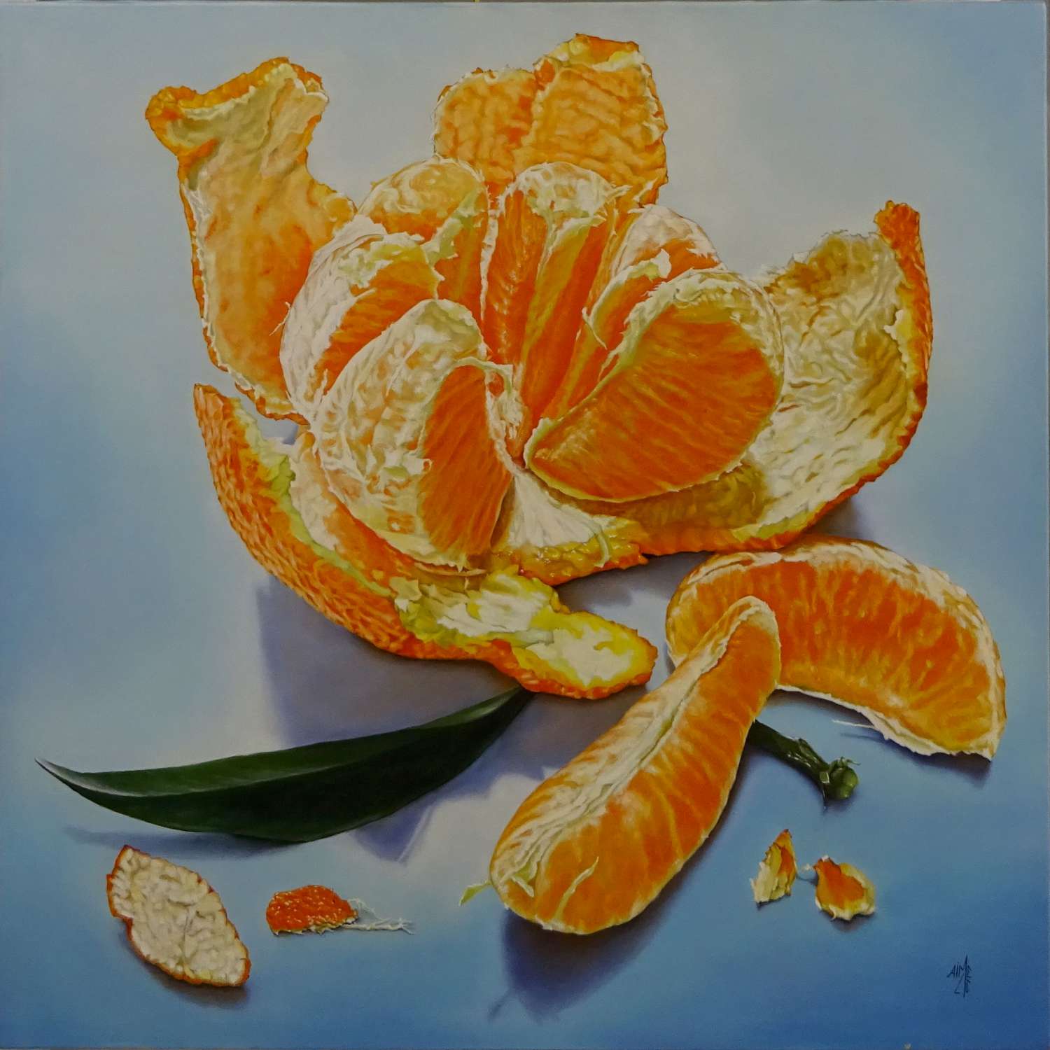 la petite corse 80x80