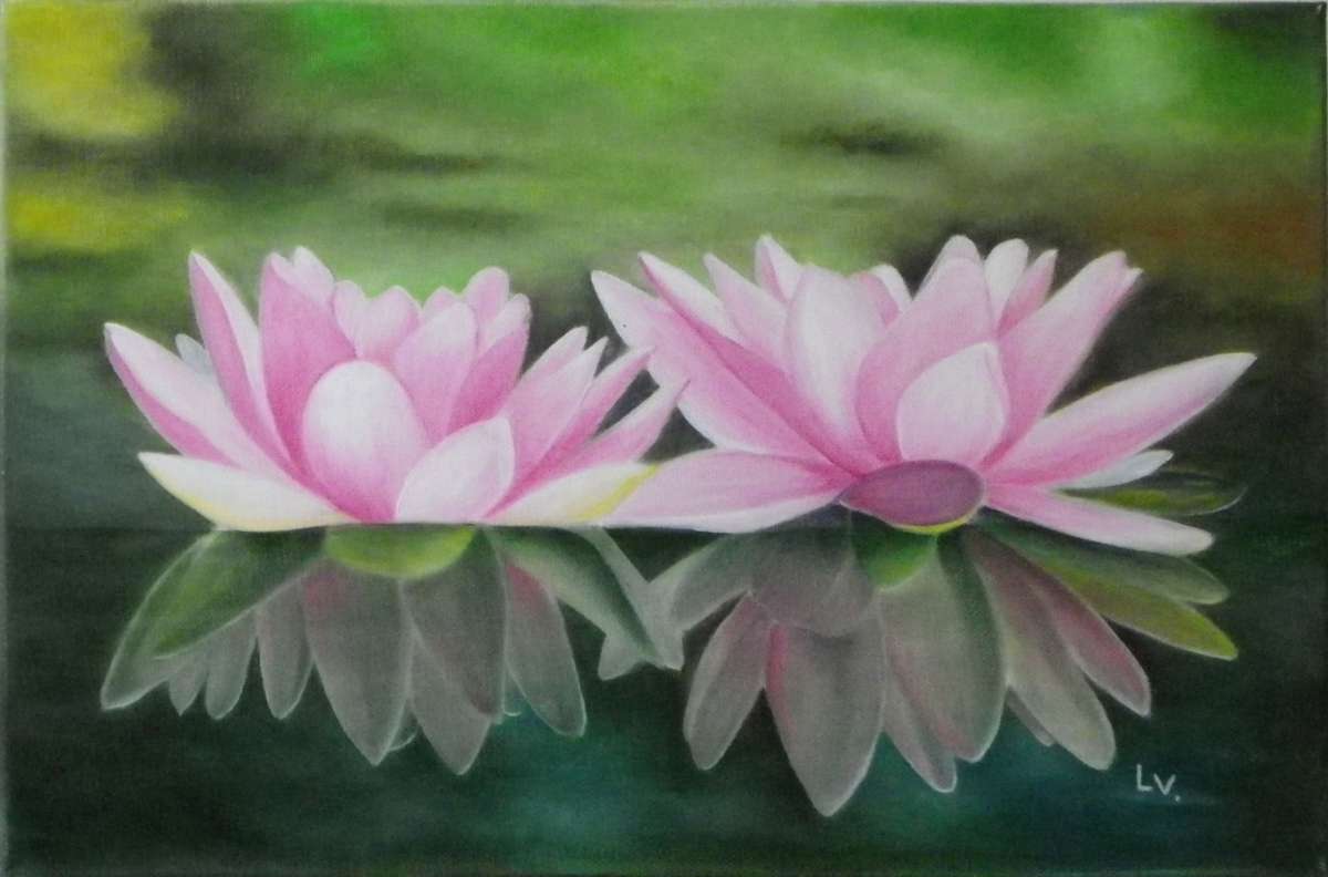 Nenuphars-_40x27_lydie-1200