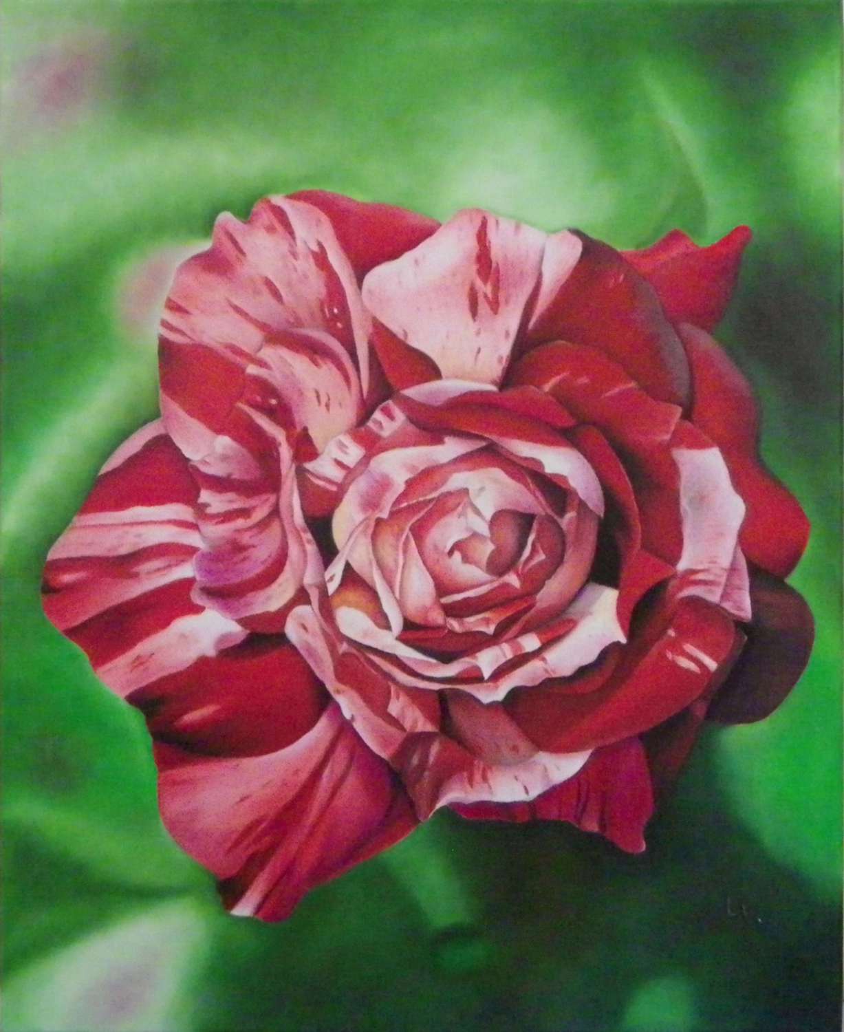 la_majestueuse_45x55